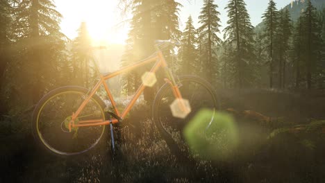 bicycle-in-mountain-forest-at-sunset